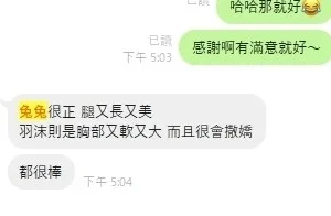 新竹定點茶-兔子：圖片
