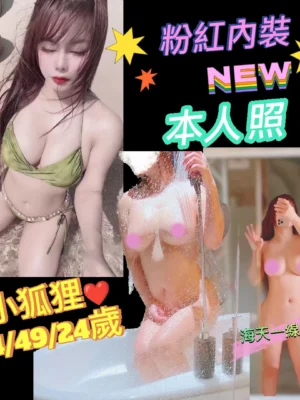 台北定點茶-小狐狸
