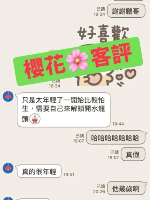 新北定點茶-櫻花：圖片