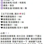 嘉義定點茶-白璐：圖片