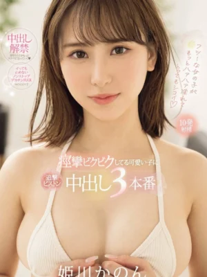 台北外送茶-姫川かのん