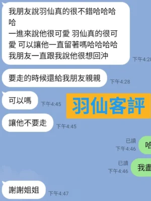 台東定點茶-羽仙：圖片