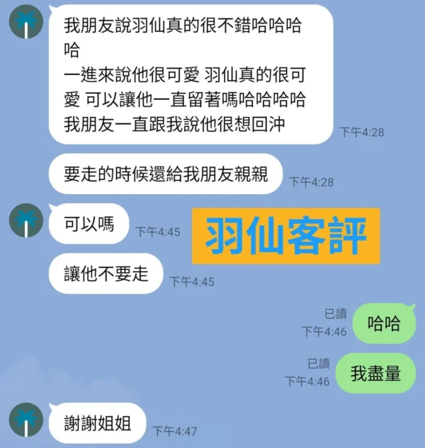 台東定點茶-羽仙：圖片