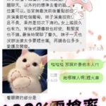 台北定點茶-Luna：圖片