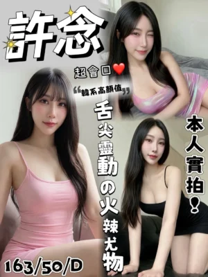 台中定點茶-許念