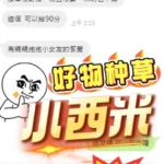 南投定點茶-小西米：圖片