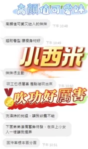 南投定點茶-小西米：圖片