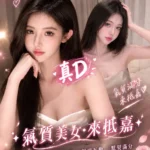 嘉義定點茶-劉詩詩