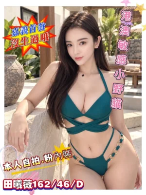 嘉義定點茶-田曦薇：圖片