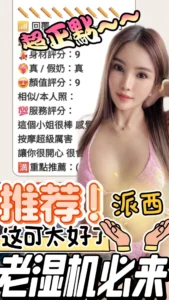 嘉義定點茶-派希：圖片
